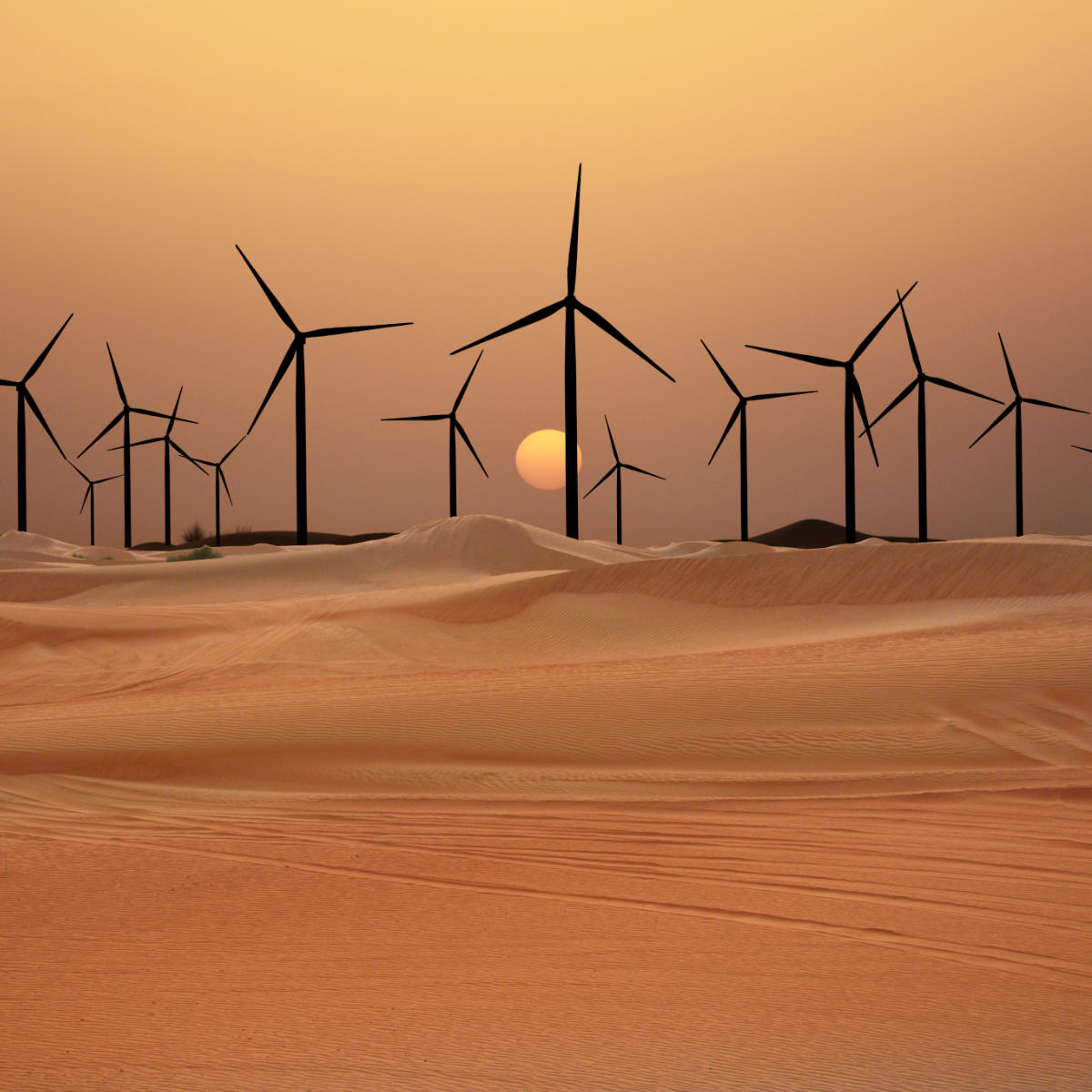 Environment & Climate Change